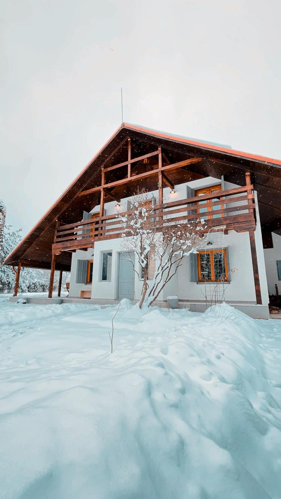 Heritage Villa Predelut Exteriör bild